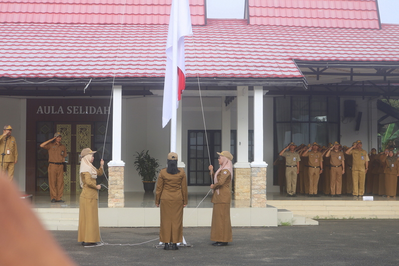 berita-image